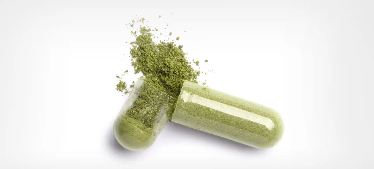 Amazing Grass Green Superfood Review: Can This Supplement Support Energy and Immune Health Naturally?