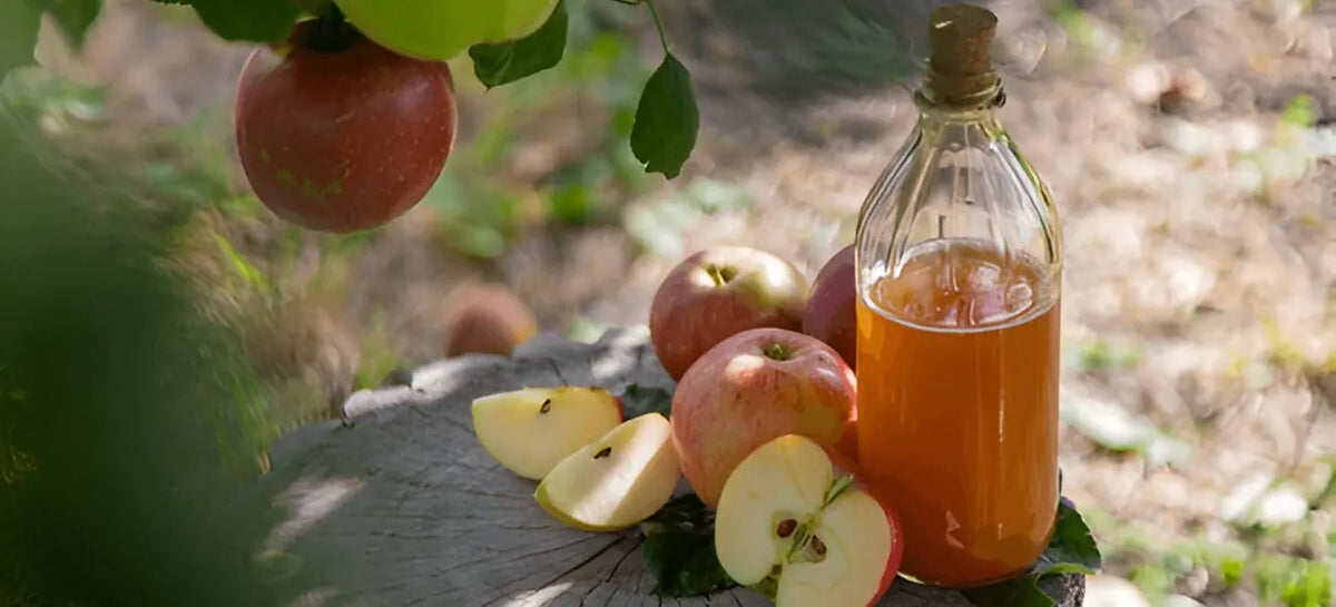 Can Apple Cider Vinegar Help You Lose Weight