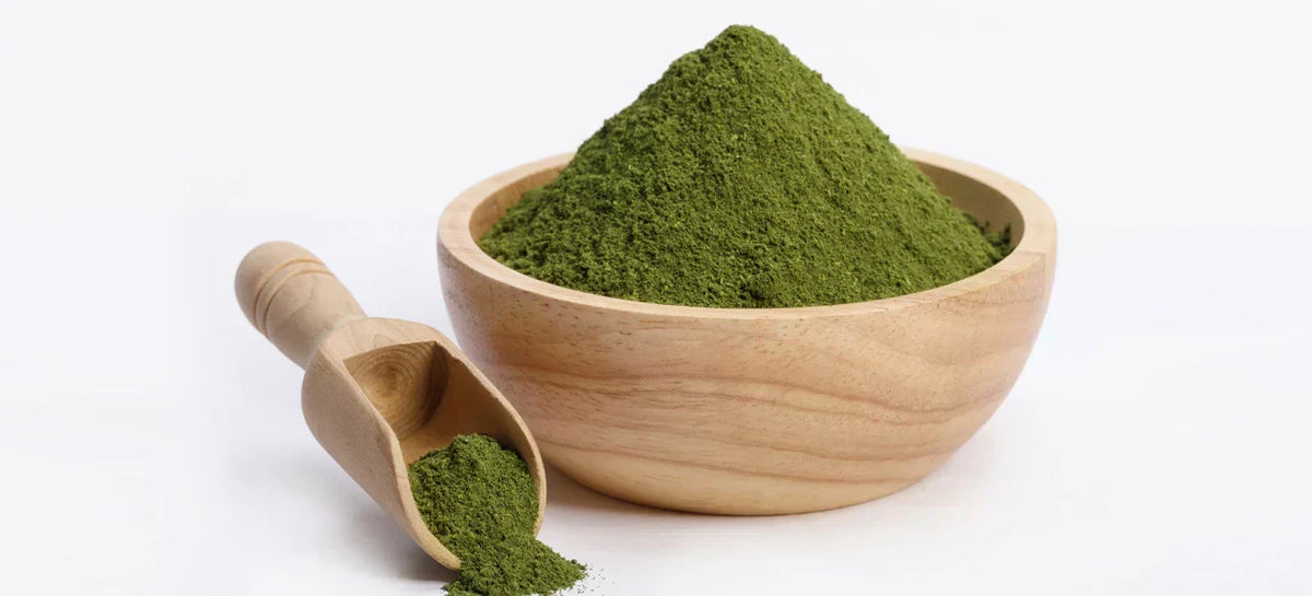 Benefits of Matcha Tea