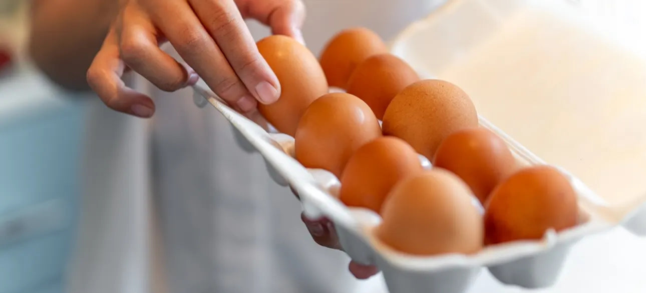 How Much Protein Does One Egg Contain?