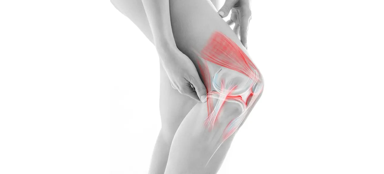 Knee Pain