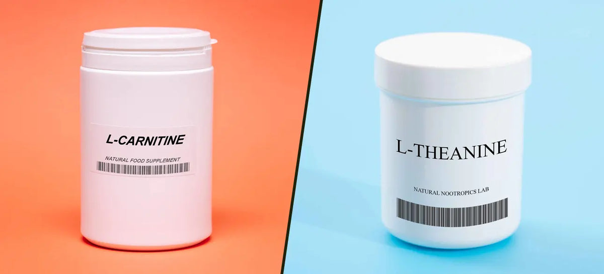 L-theanine vs L-carnitine