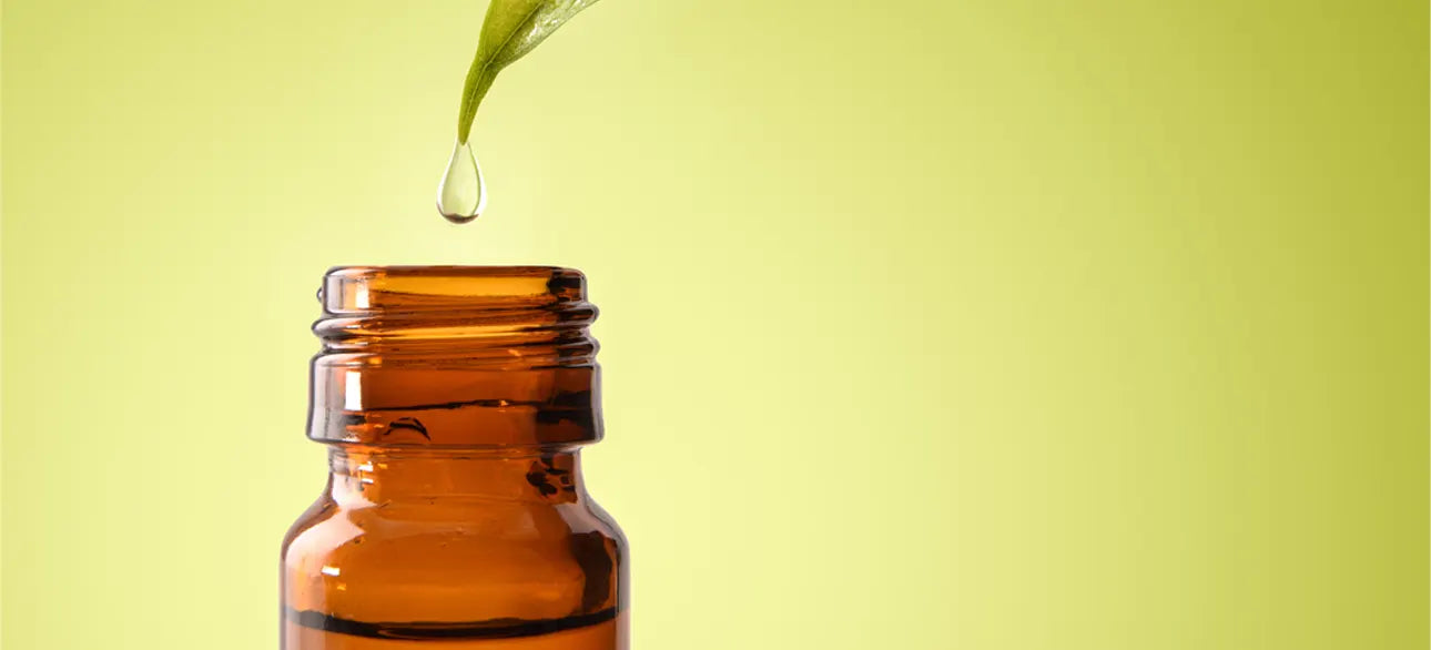 Lydia Pinkham Herbal Review : Can This Historic Formula Still Support Menopause Relief?