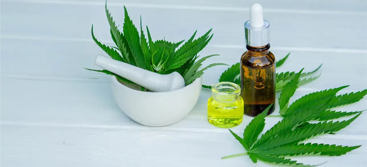 NeuroPrime Review: Is This Supplement Effective for Long-Term Brain Function?