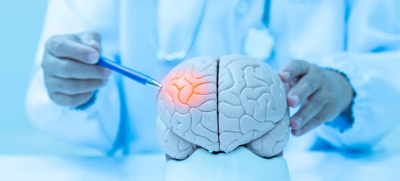 Science of Anxiety