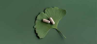 10 Possible Benefits & Side Effects of Ginkgo Biloba