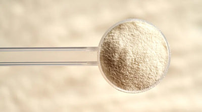 Orgain Collagen Peptides Review: Does It Really Work?