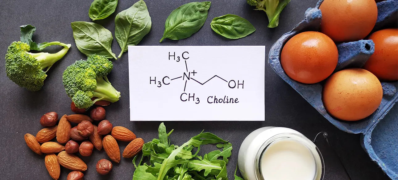 Foods High in Choline