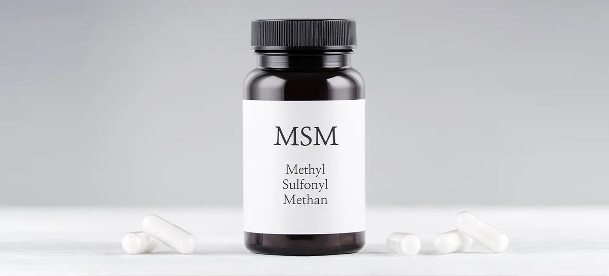  MSM Supplements