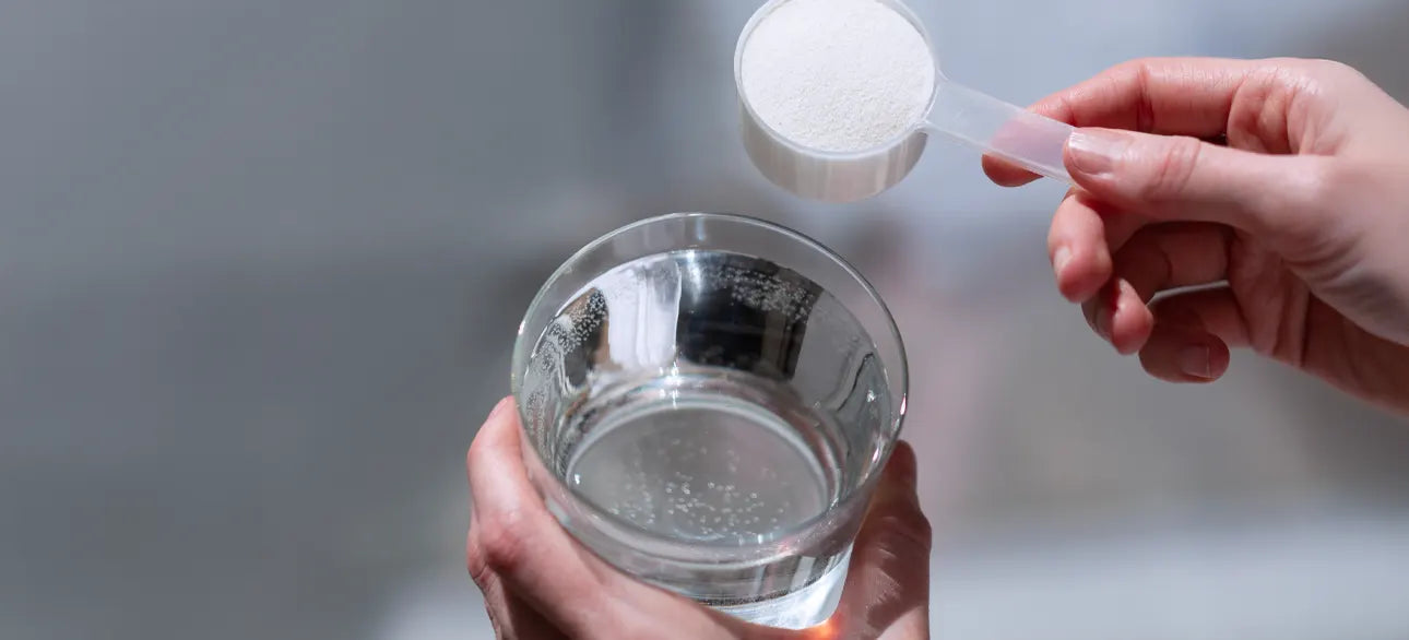 Needed’s Collagen Protein