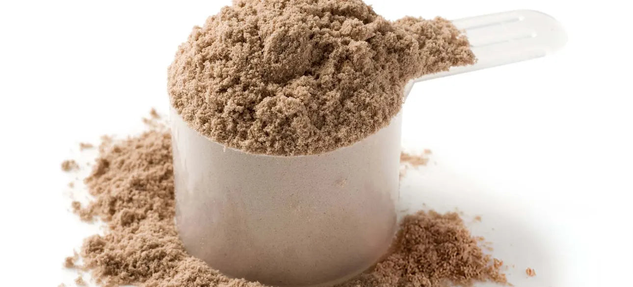 Nootopia CollaGenius