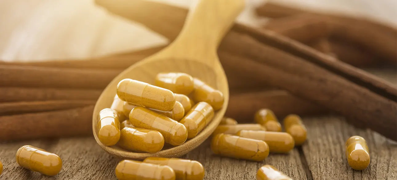 Snap Nitric Oxide Booster Review: Does It Improve Circulation and Stamina?