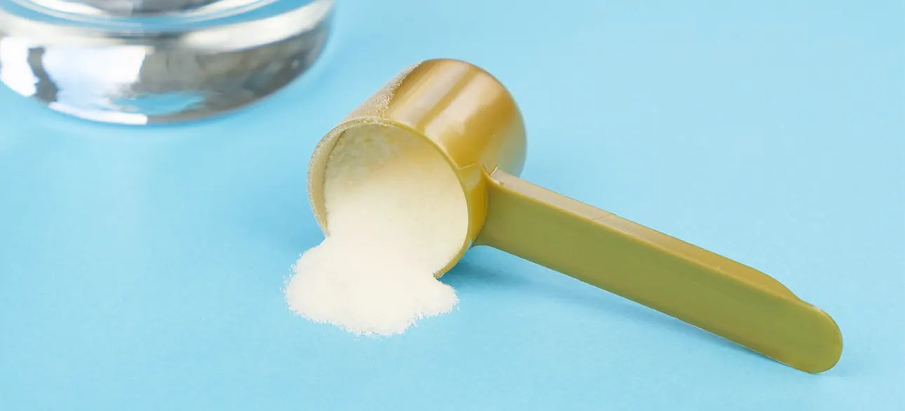 Vitauthority Multi Collagen Burn