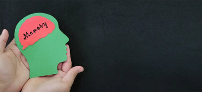 10 Ways to Improve Memory