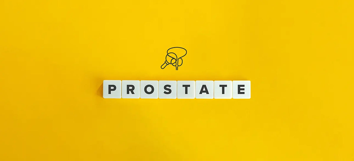Prostate Health