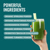 Superfood Greens Fusion: suplemento de probióticos y enzimas 